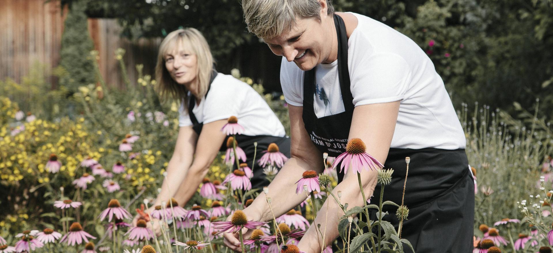 Benvenuti nel team dott. Joseph