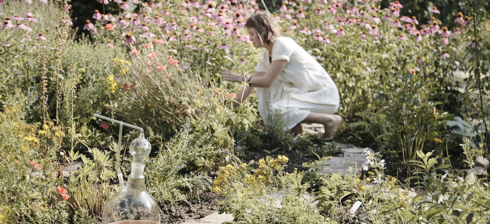 Benvenuti nel team dott. Joseph