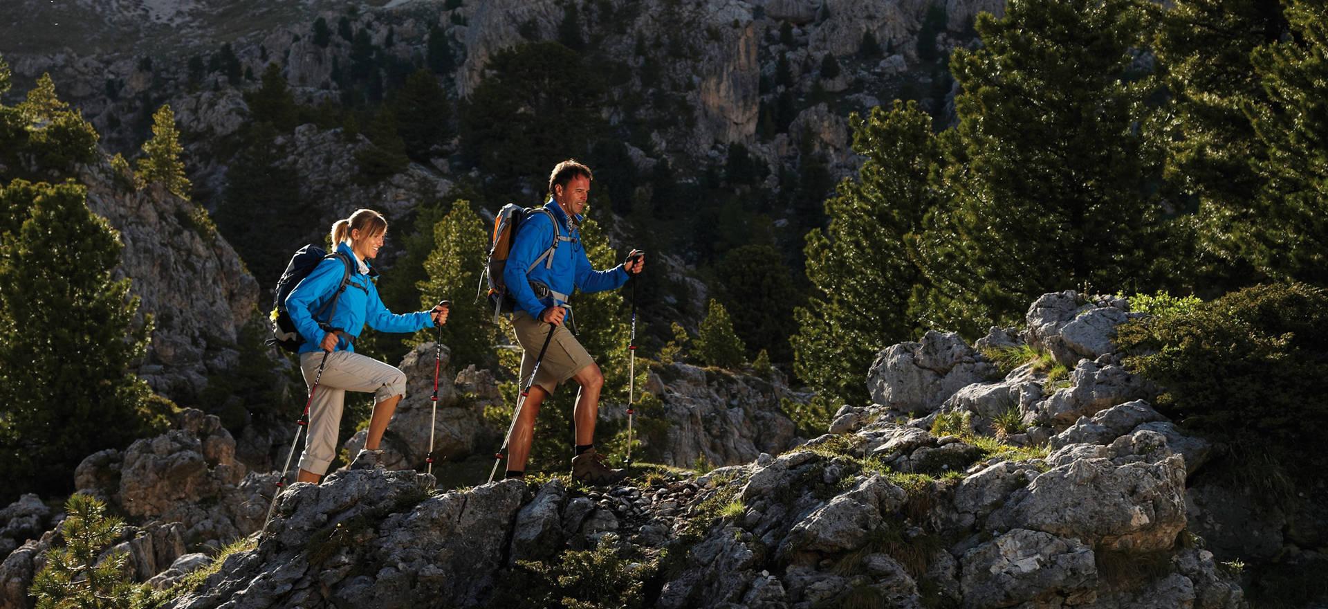 Leki-Wander & Nordic Walking Stöcke