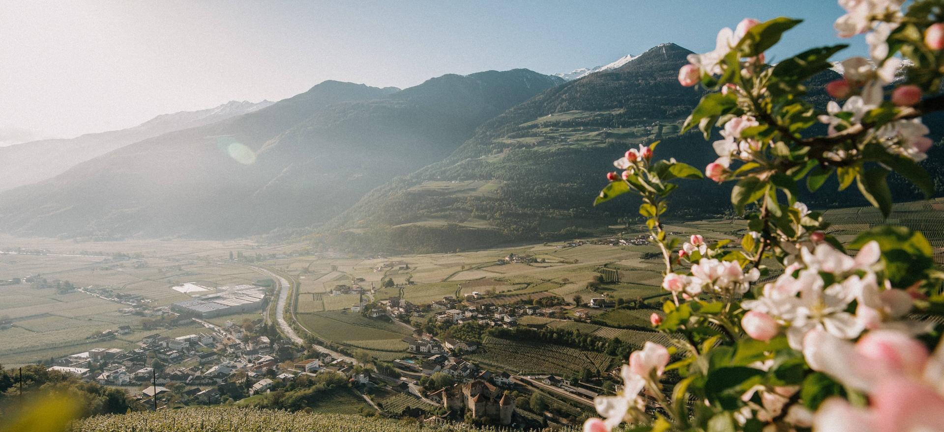 Welcome in probably the coolest adventure hotel in the Alps! Welcome in probably the coolest adventure hotel in the Alps!