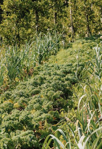 A matter close to our hearts