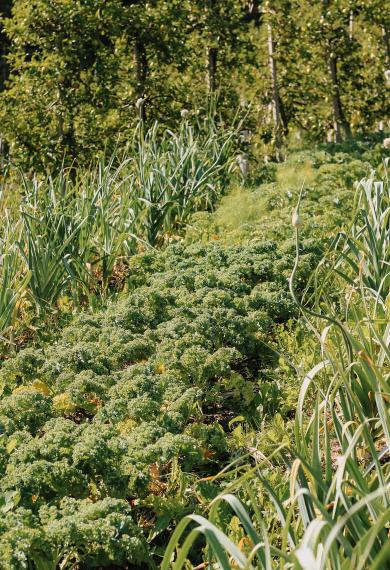 Unsere Herzensangelegenheit Unsere Herzensangelegenheit