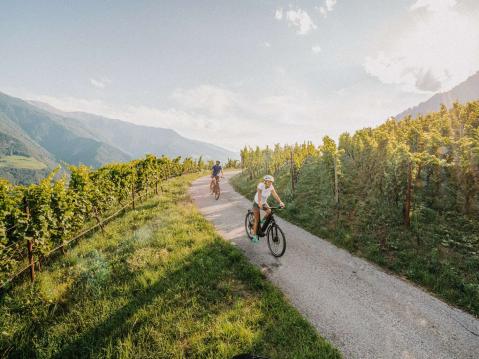 Explore the surrounding area on 2 wheels Explore the surrounding area on 2 wheels