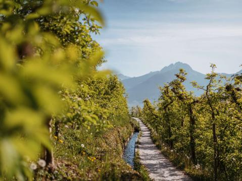 Gemütlich und aussichtsreich zu den schönsten Almen