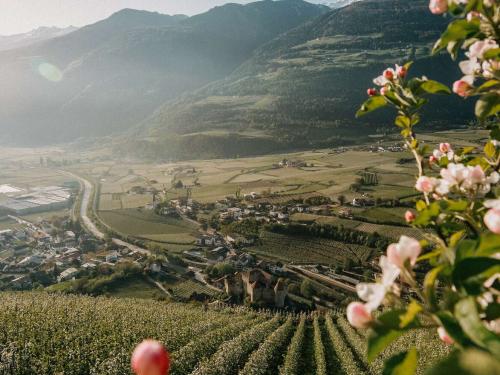 Opening Special -25%