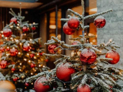 Vorweihnachts-Zeit -25%