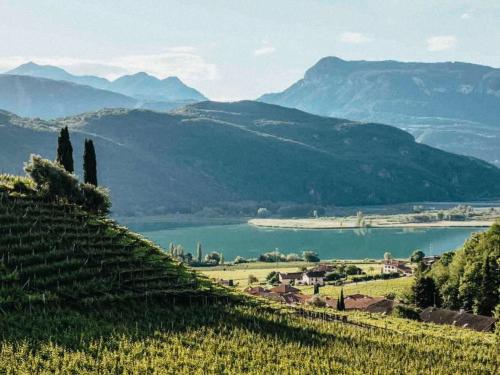 Wine Tasting Week im Frühling mit Hannes Piri -10% Wine Tasting Week im Frühling mit Hannes Piri -10%