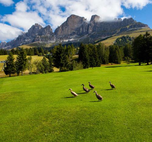 La Vostra vacanza da golf in Alto Adige La Vostra vacanza da golf in Alto Adige