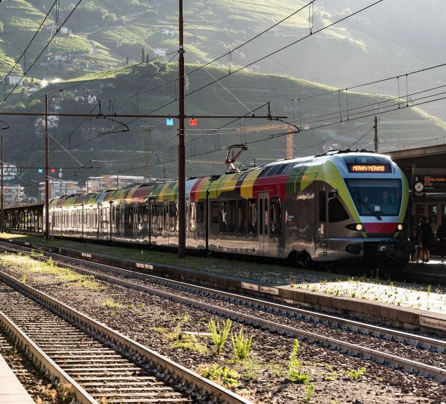 NEU: die VinschgauCard